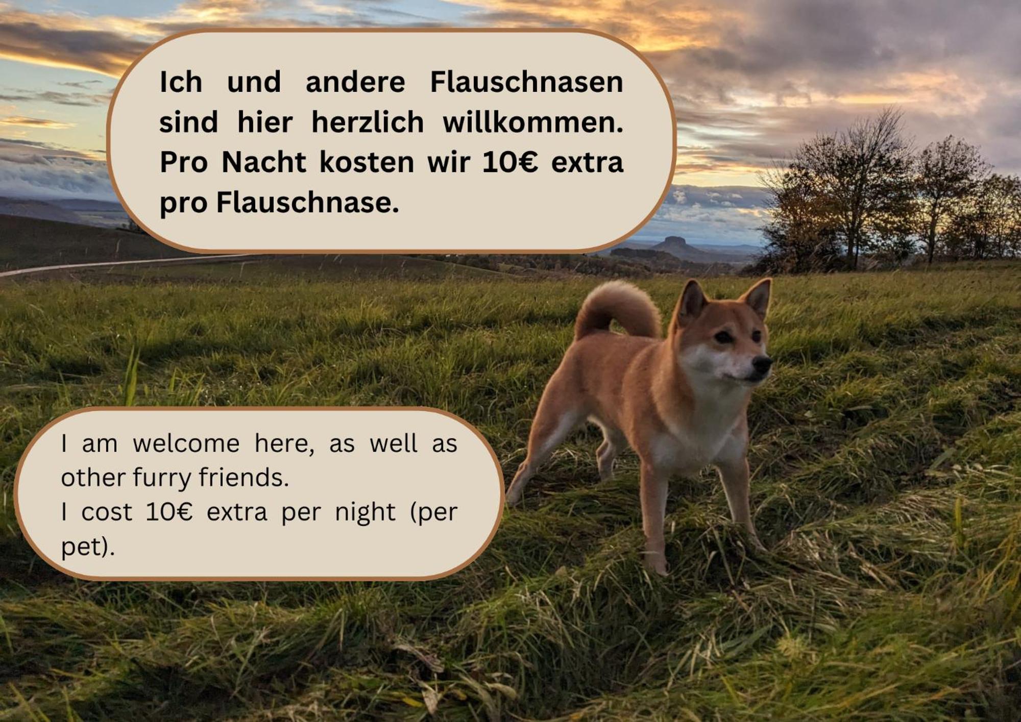 S2 - Urlaubsmagie - Am Wanderweg Mit Terrasse Leilighet Sebnitz Eksteriør bilde